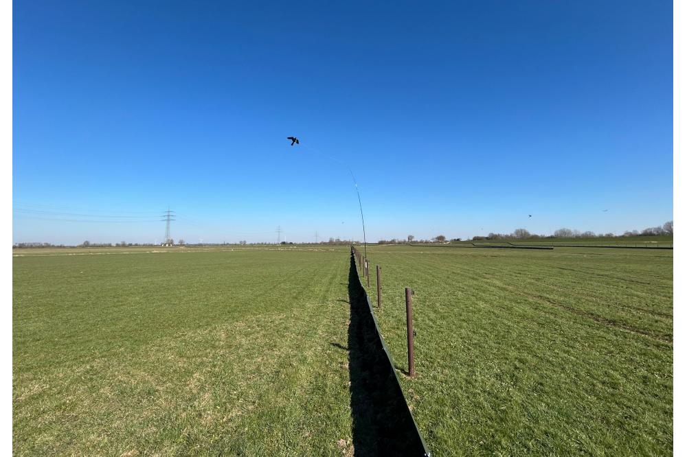 Arten- und Vegetationsschutz bei Baumaßnahmen im Fokus